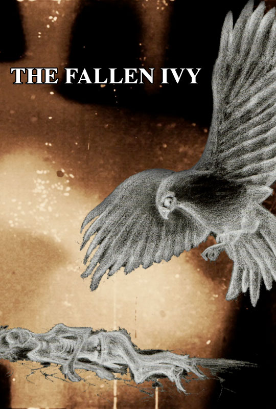 The Fallen Ivy poster Australian Film Festival OZIFF