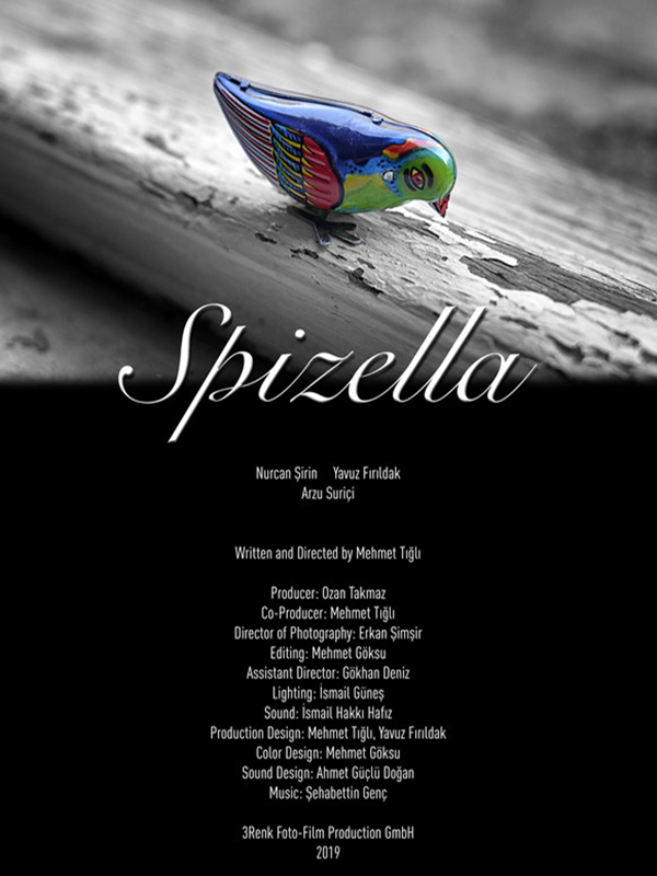 //oziff.com/wp-content/uploads/2020/03/spizella-poster600x800.jpg